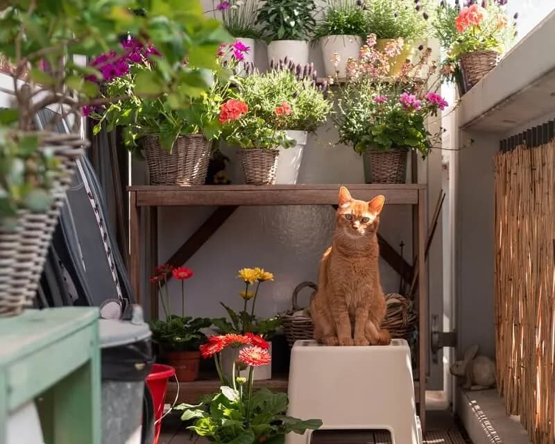 Jak urządzić balkon, aby stworzyć idealną przestrzeń relaksu?